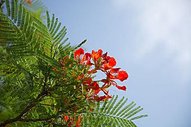 Steam喜加二！3D平衡球加强版与《如龙8外传》dlc免费领